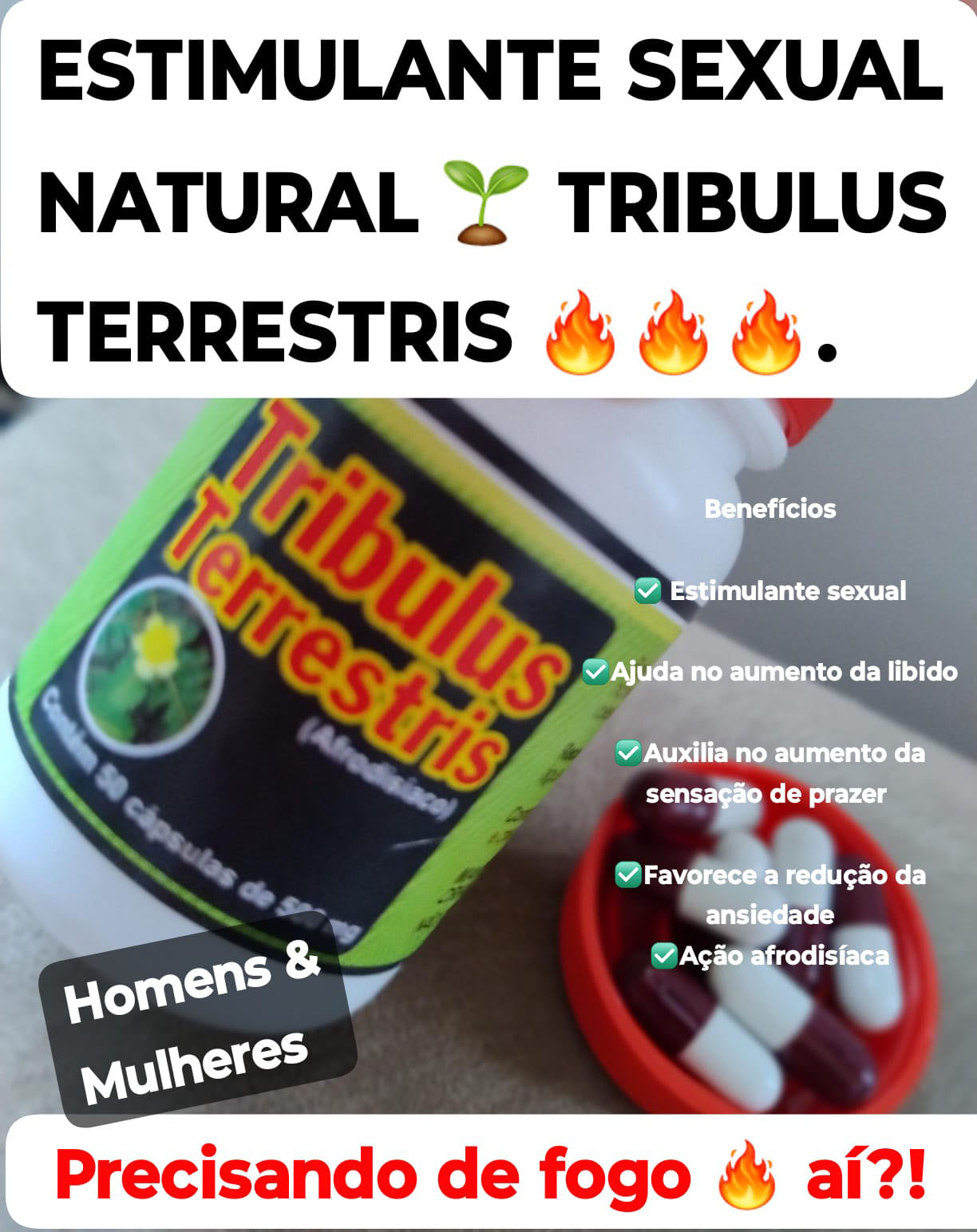 TRIBULUS TERRESTRIS